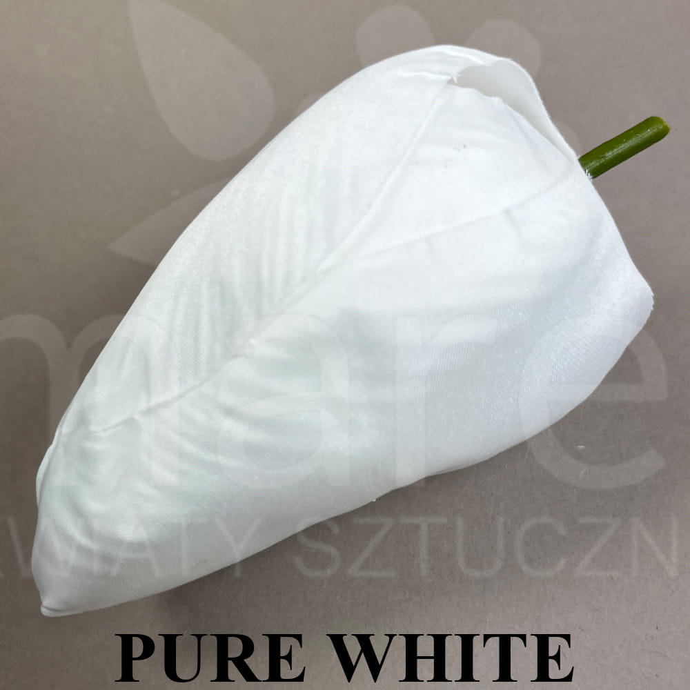 PURE WHITE.jpg