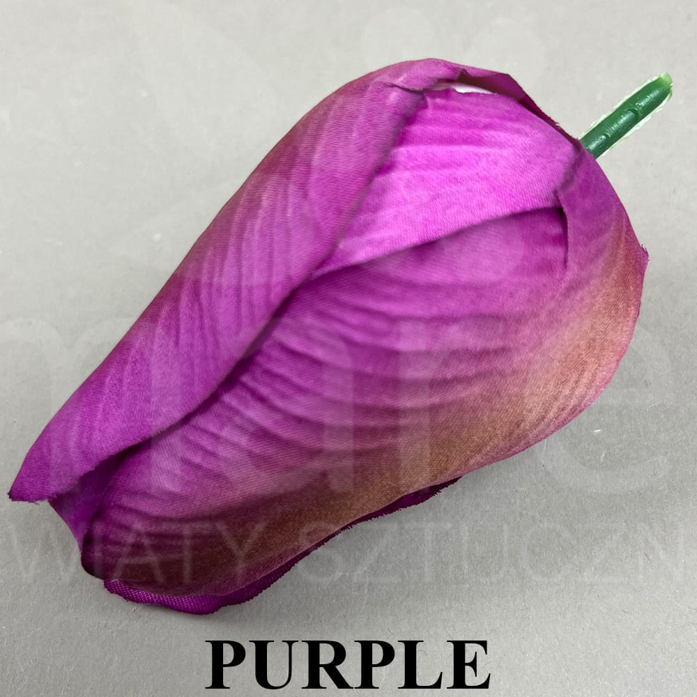 PURPLE.jpg