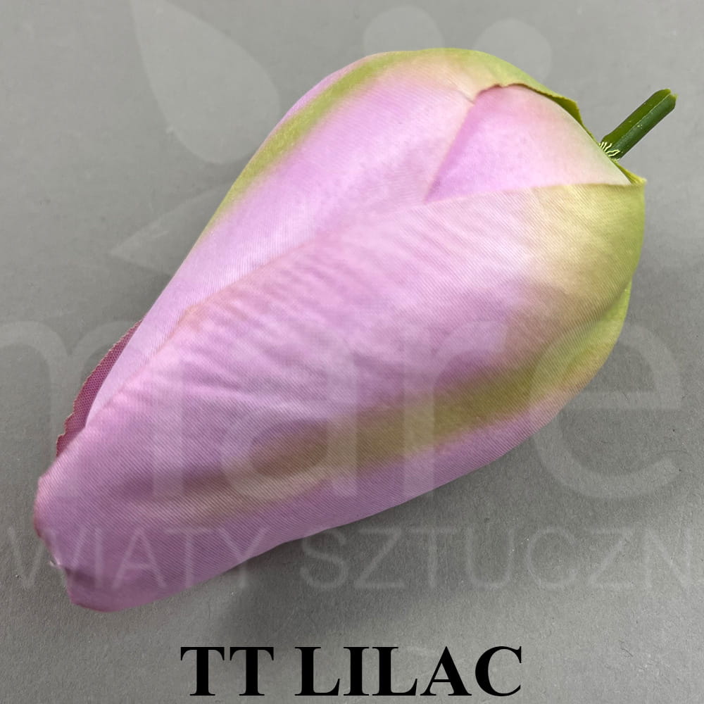 TT LILAC.jpg
