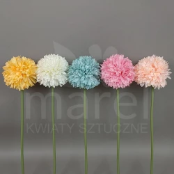 Czosnek FLZ19522 MIX