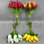 Tulipan LY055 MIX-01