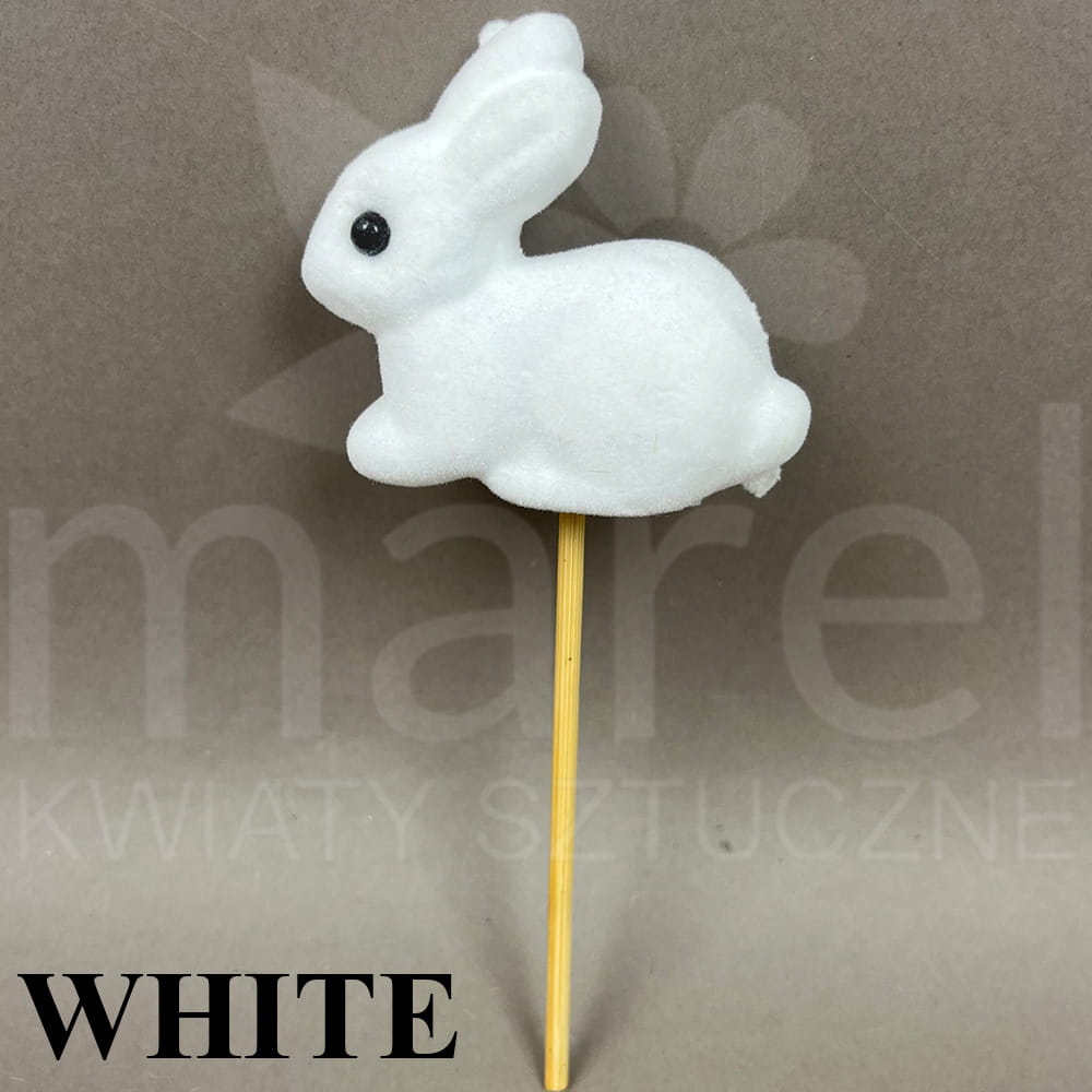 WHITE.jpg