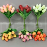 Tulipan KX-019808 MIX