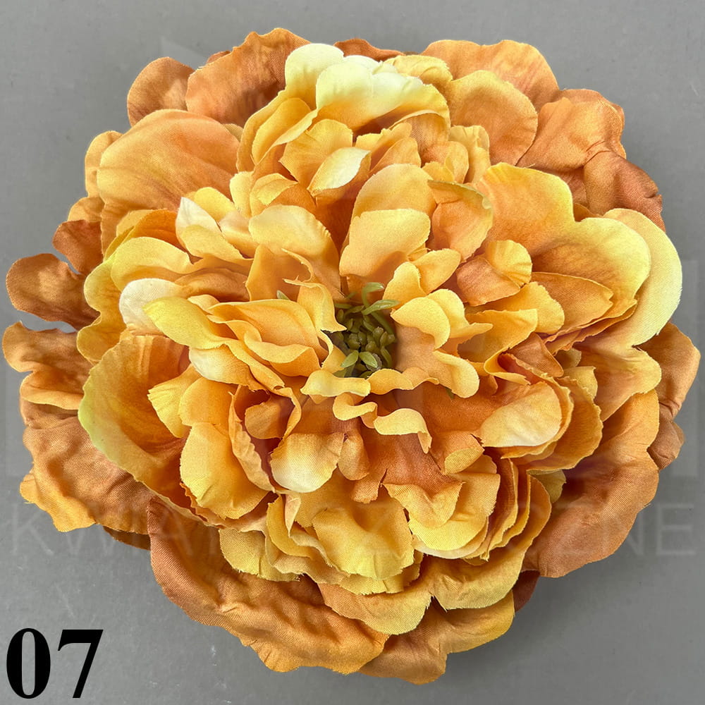 07.jpg
