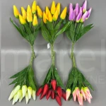 Tulipan HD070138 MIX