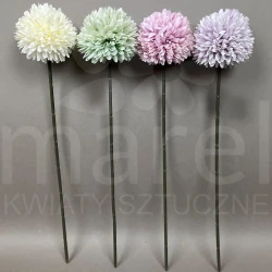 Czosnek DL020310 MIX