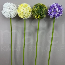 Czosnek KX-74110 MIX