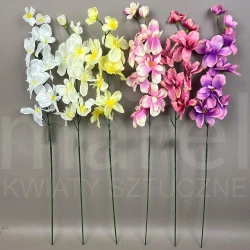 Storczyk DL031815 MIX