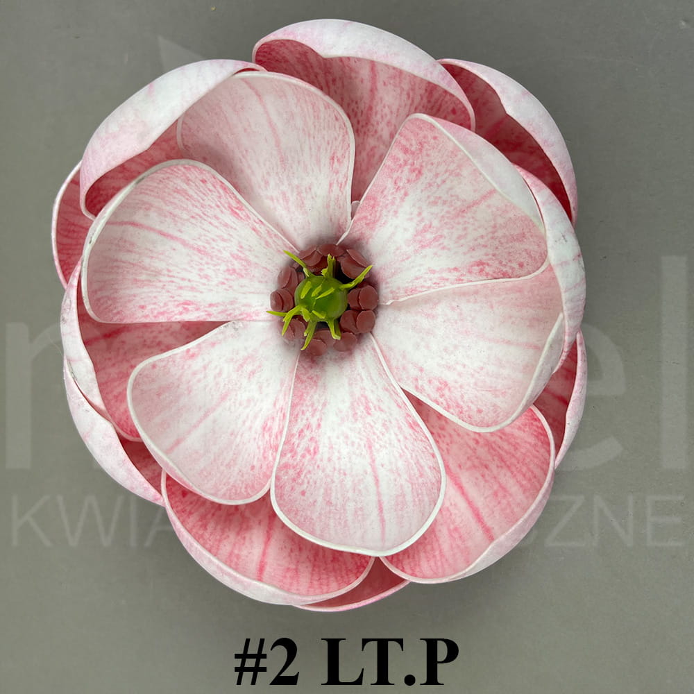 #2 LT.P.jpg
