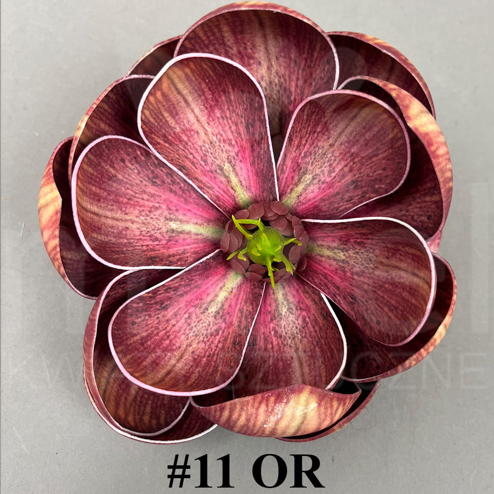 #11 OR.jpg