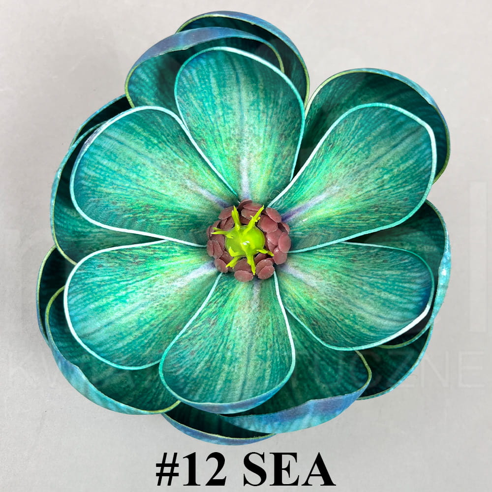 #12 SEA.jpg