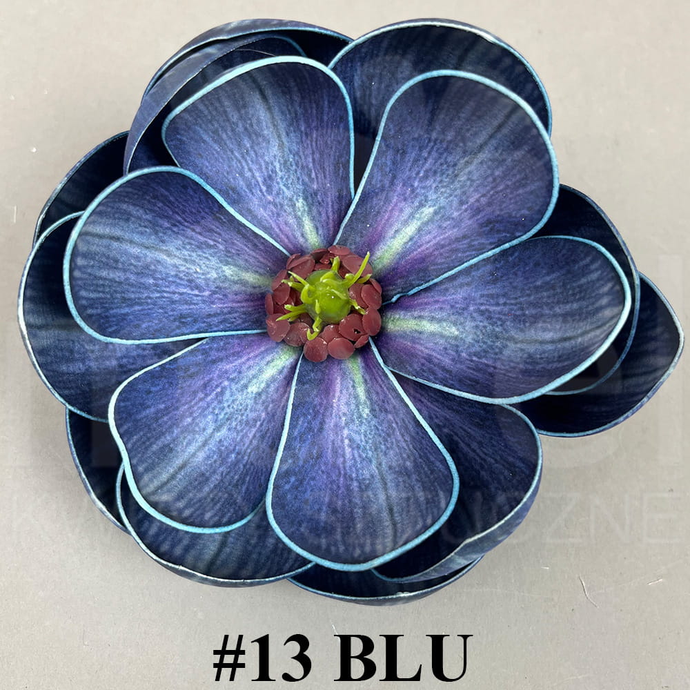 #13 BLU.jpg