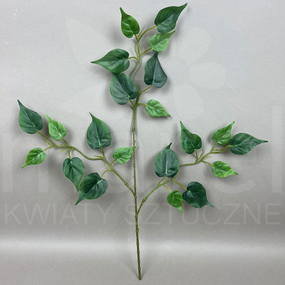 BRA08 GREEN.jpg