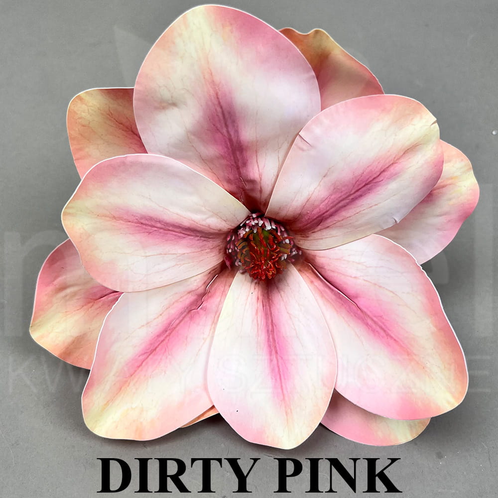 DIRTY PINK.jpg