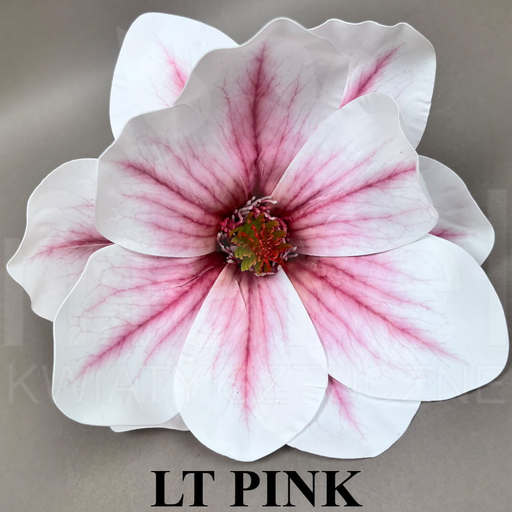 LT PINK.jpg