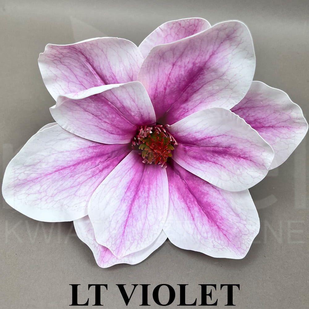 LT VIOLET.jpg
