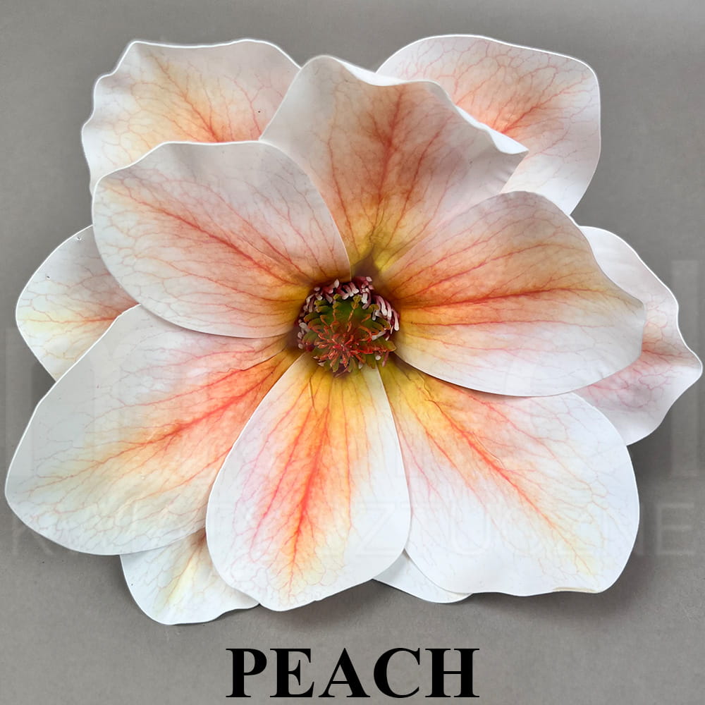 PEACH.jpg