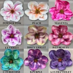 Magnolia gumowa wyrobowa WEI1032