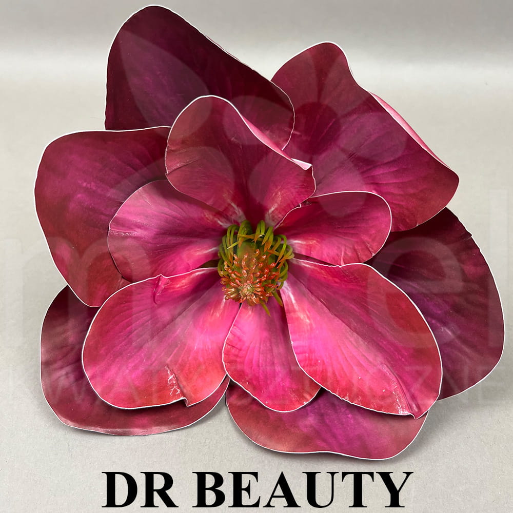 DR BEAUTY.jpg