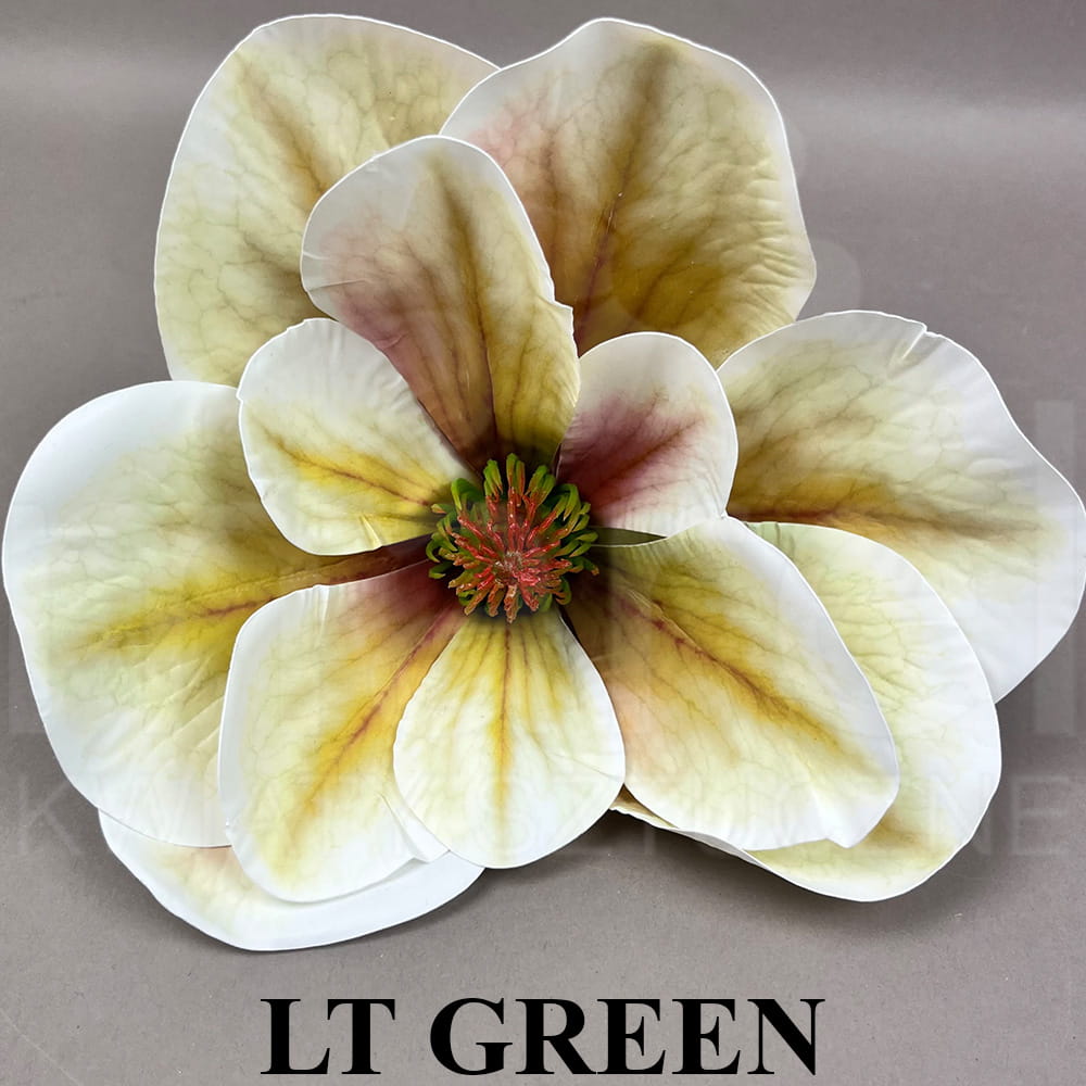 LT GREEN.jpg