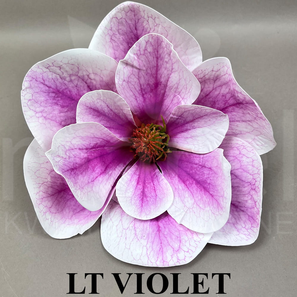LT VIOLET.jpg