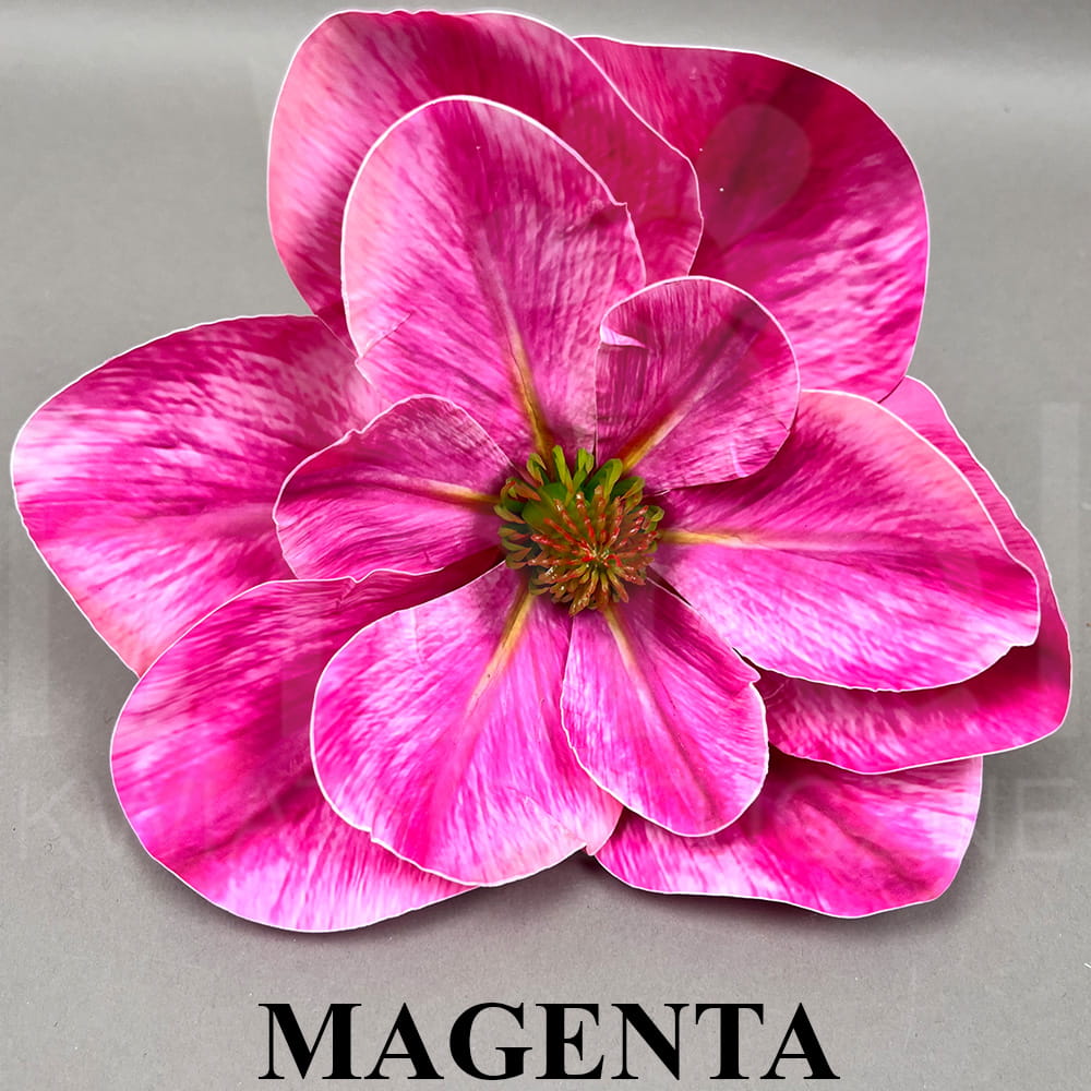 MAGENTA.jpg
