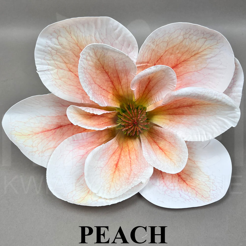 PEACH.jpg