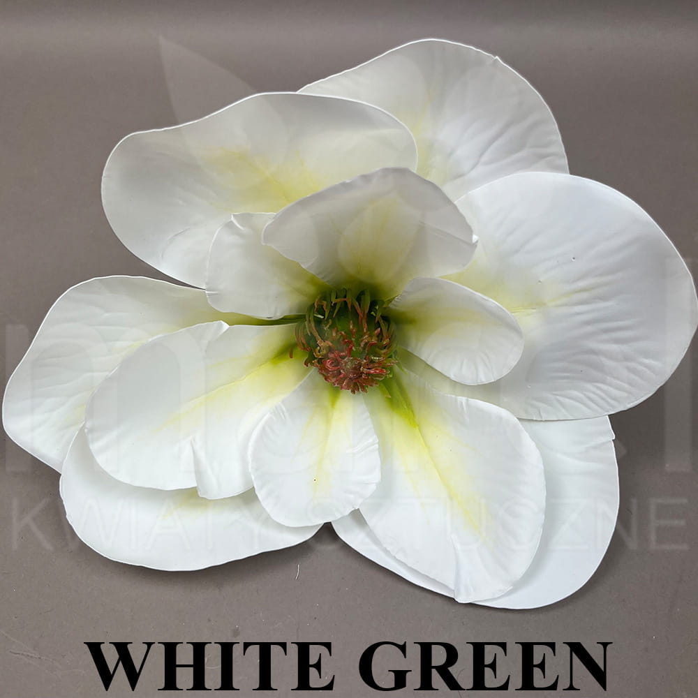 WHITE GREEN.jpg