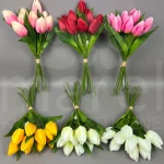 Tulipan T97-25 MIX