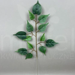 Liść BRA02 GREEN