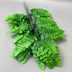 Paprotka pietruszka VIP898