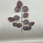 Liść XS005 FB BROWN