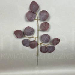 Liść XS005 FB BROWN