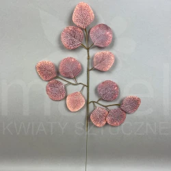 Liść XS005 FC ORANGE