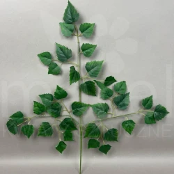 Liść brzozy VIP7584