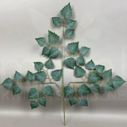 Liść brzozy VIP7583