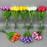 Tulipan wiązka HD260131 MIX