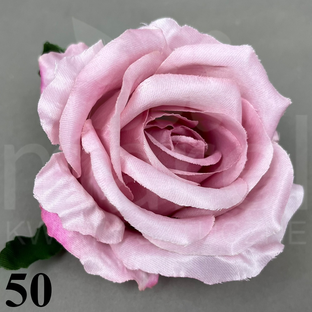 50.jpg