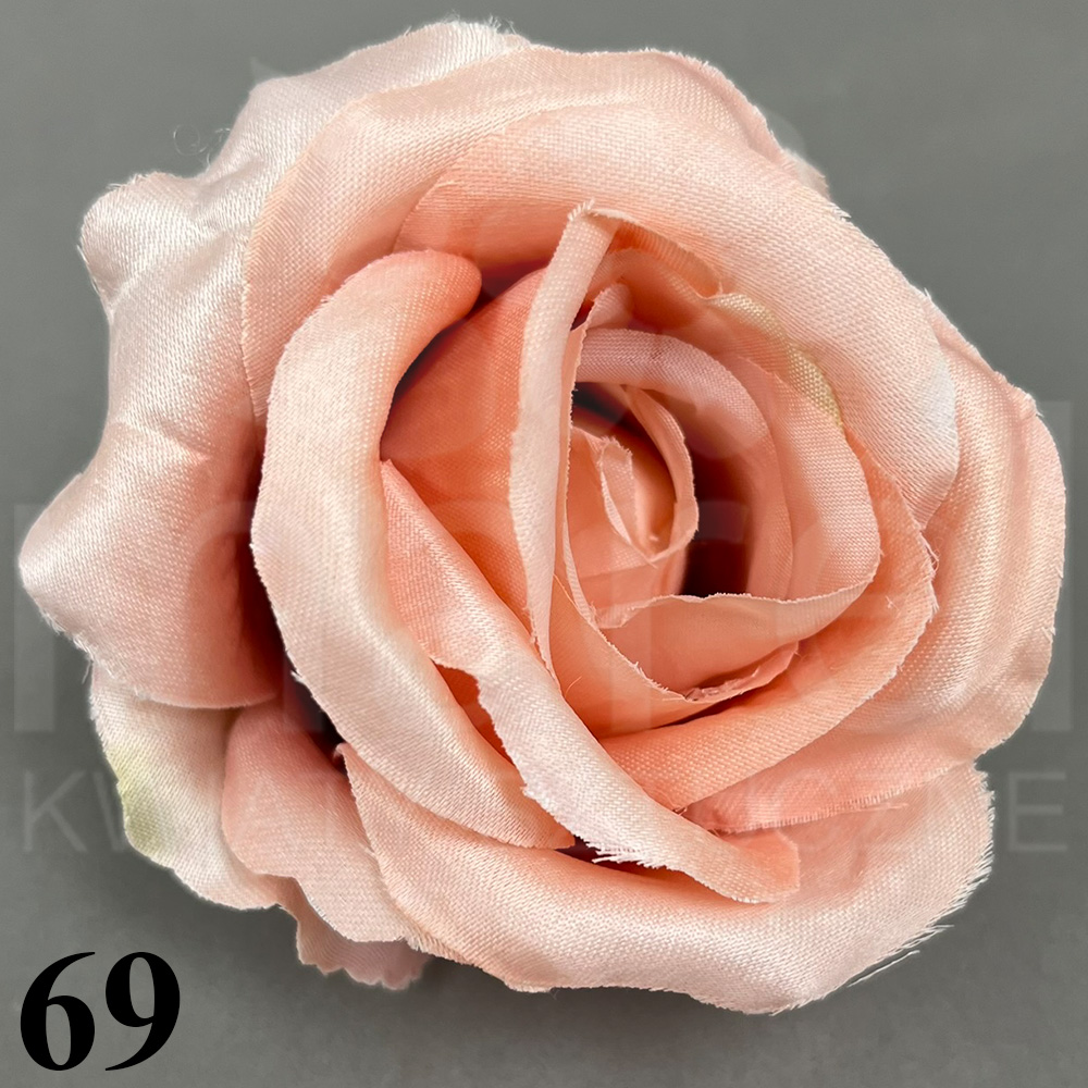 69.jpg