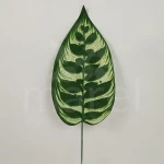 Liść CF1-033 / S625-1