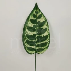 Liść CF1-033 / S625-1