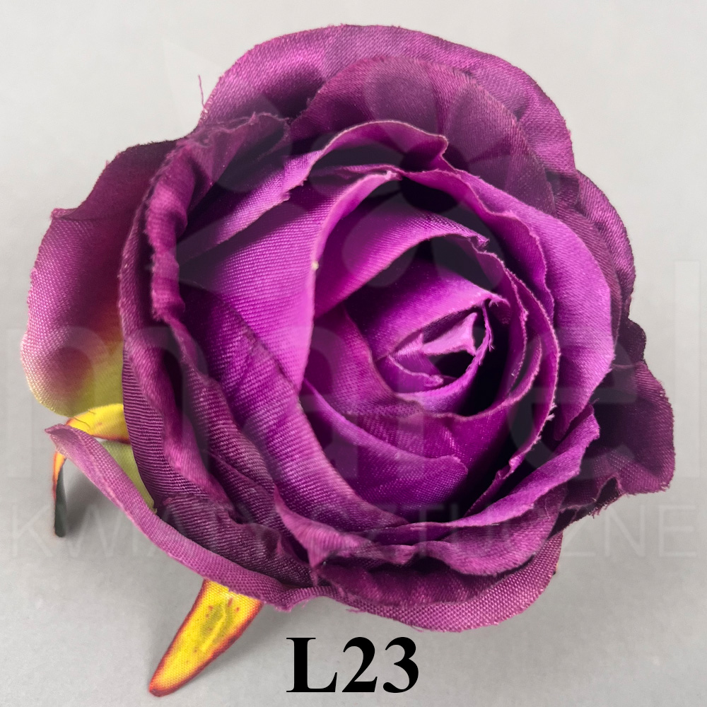 L23.jpg