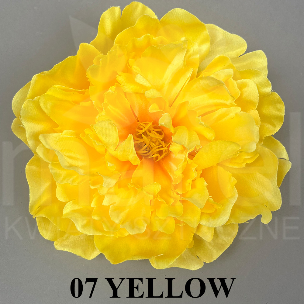 07 YELLOW.jpg
