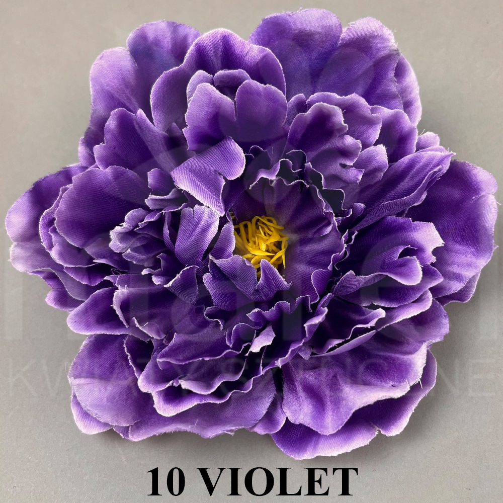 10 VIOLET.jpg