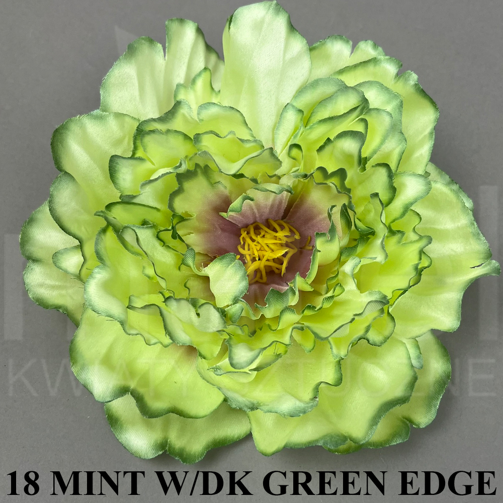 18 MINT W DK GREEN EDGE.jpg