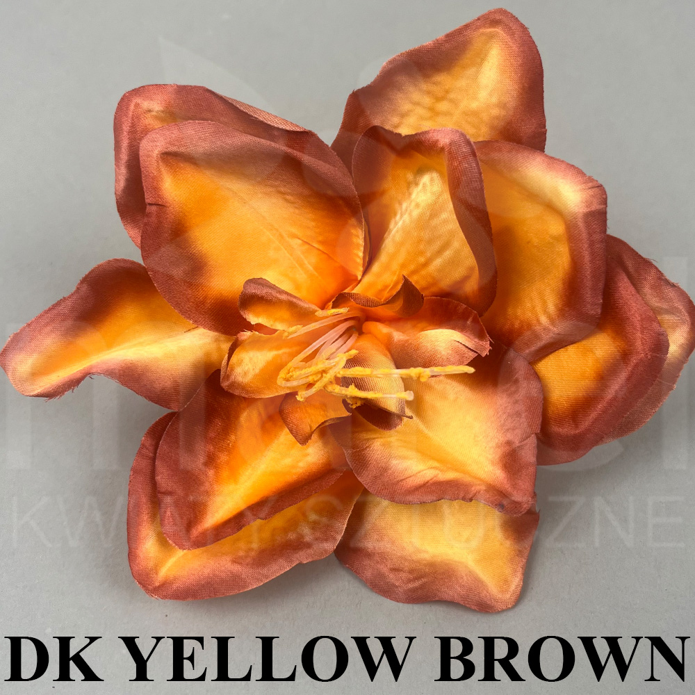 DK YELLOW BROWN.jpg