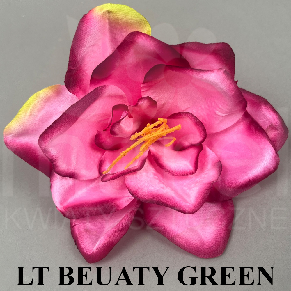 LT BEAUTY GREEN.jpg