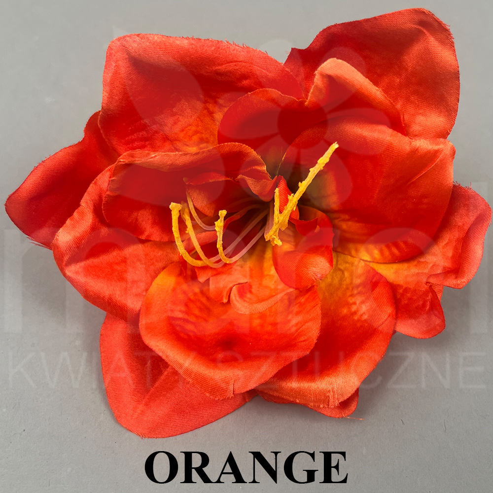 ORANGE.jpg