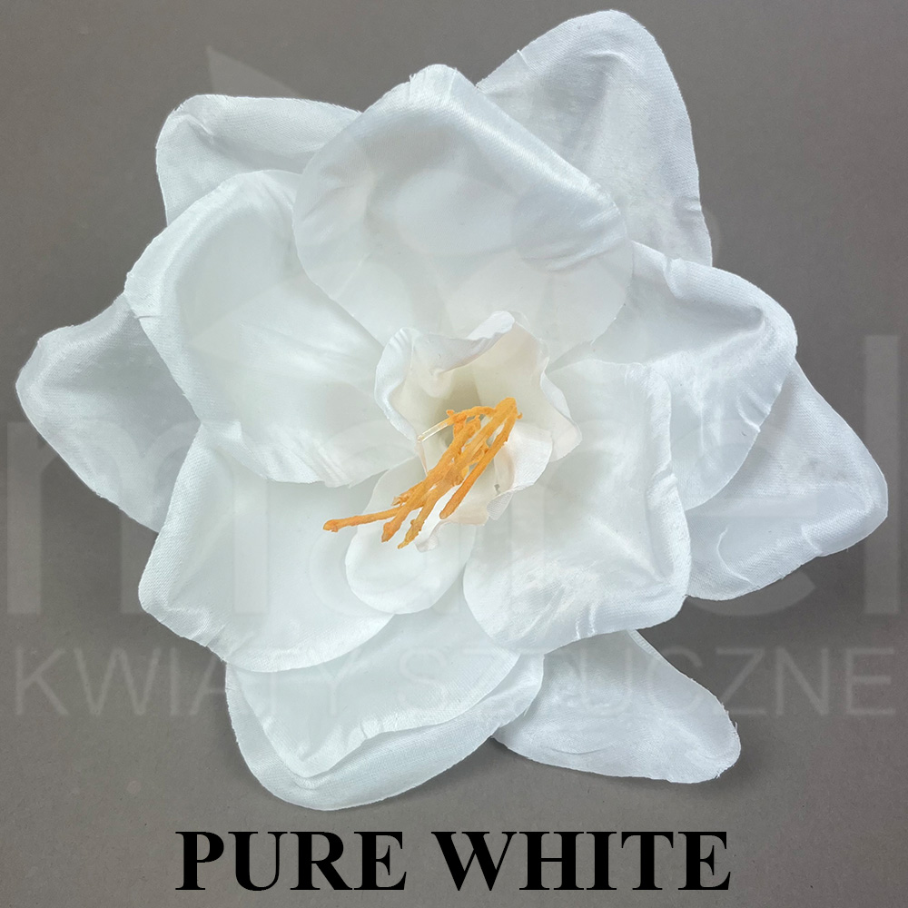 PURE WHITE.jpg