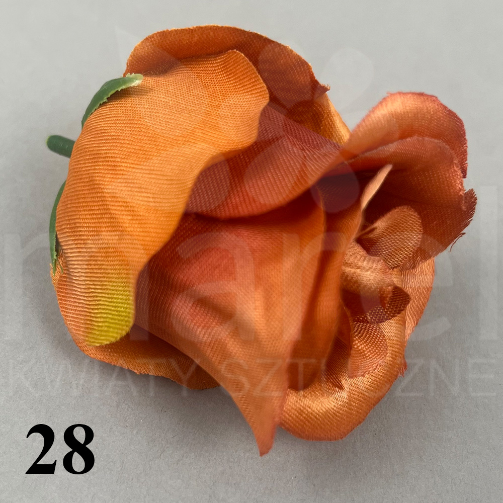 28.jpg